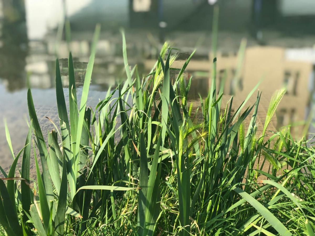 Residenza Fiori Di Grano Panzió Milánó Kültér fotó